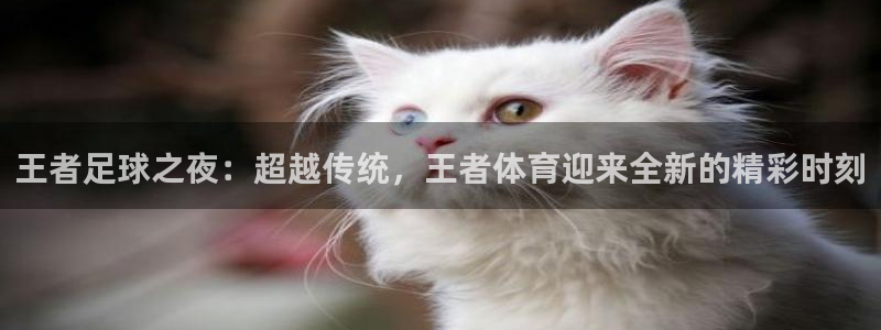 意昂5Kgame体育官网入口登录