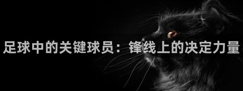 意昂5Kgame体育代理申请流程