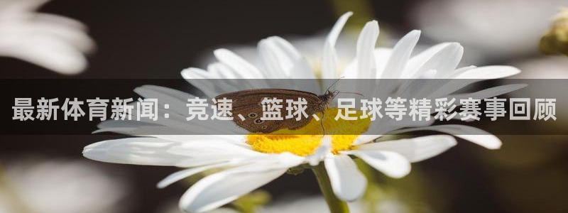 意昂5Kgame体育平台登录入口