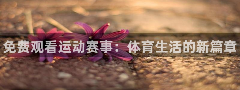 意昂5Kgame包怎么样