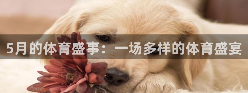 意昂5Kgame体育eon